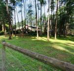 Fernglade on Menzies - Phillip Island Accommodation