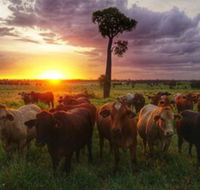 Myella Farm Stay - Phillip Island Accommodation