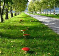 Plovers Ridge Country Retreat - Phillip Island Accommodation