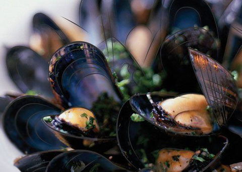 Peppermint Bay - Bar, Dining And Terrace - Phillip Island Accommodation 6