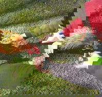 Glen Logan Restaurant - Phillip Island Accommodation