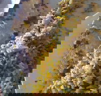 Horsham Masala Indian Restaurant - Phillip Island Accommodation