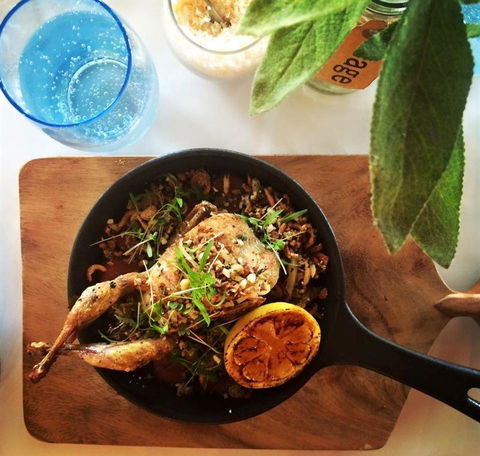 H2O Restaurant & Bar - Phillip Island Accommodation 10