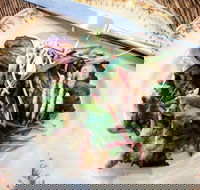 Frank and Connie's Kitchen