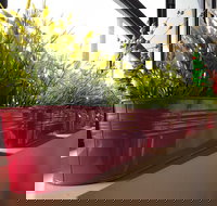 Dinoni - Phillip Island Accommodation