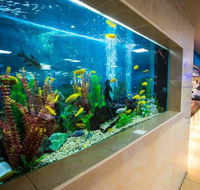 Swansea Workers Club