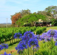 Little Fish Cafe - Phillip Island Accommodation