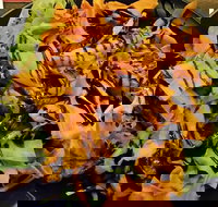 Royal Hotel - Phillip Island Accommodation