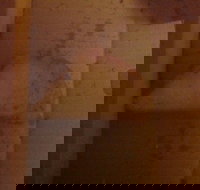 Domino's Pizza - Phillip Island Accommodation