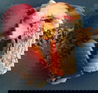 Whale Restaurant - Phillip Island Accommodation