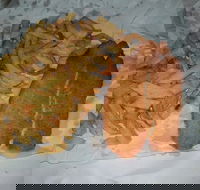 Chipp Inn - Phillip Island Accommodation