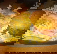 Finn  Co Cafe - Phillip Island Accommodation