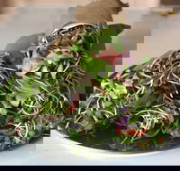 Santos Organics Mullumbimby - Phillip Island Accommodation