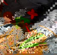 Thai Square Springwood - Phillip Island Accommodation