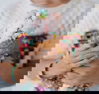 Get The Scoop Gelato Bar