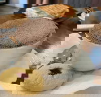 Mad Meerkat Coffee - Phillip Island Accommodation