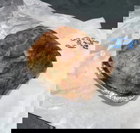 Country Kitchen Gourmet Pies - Phillip Island Accommodation