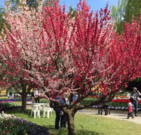 Mirchi Indian Cuisine - Phillip Island Accommodation