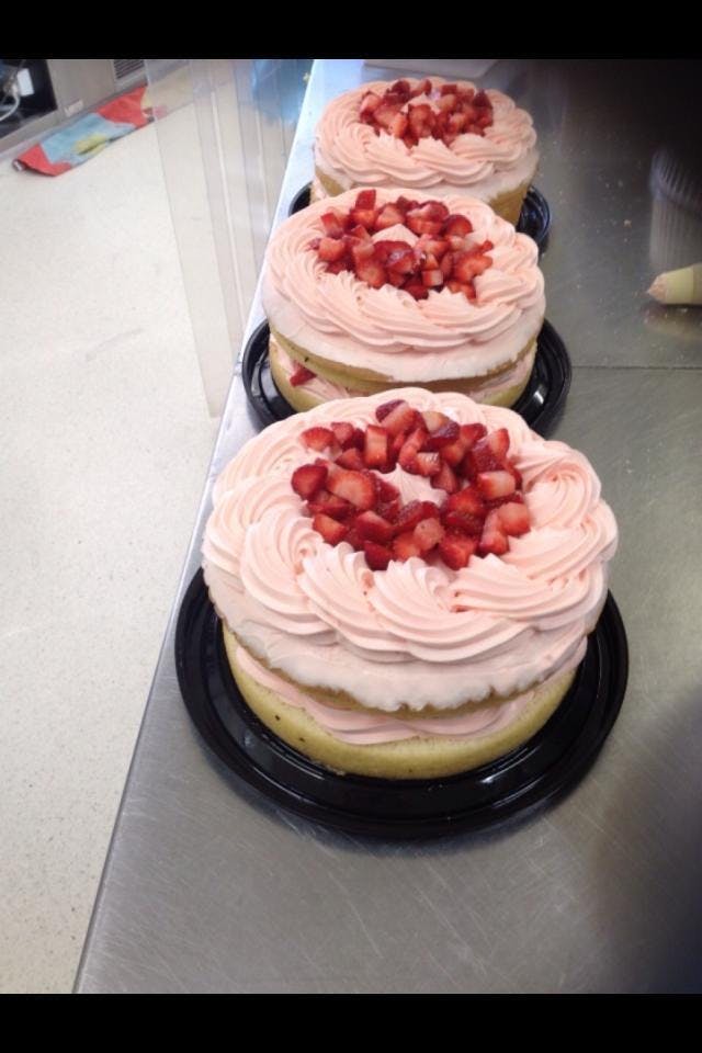 Phillip Island Accommodation