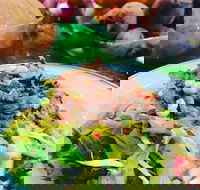 Salad Bar - Surry Hills - Phillip Island Accommodation