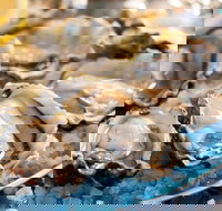 Atrium - Phillip Island Accommodation