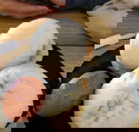 Big Bun - Phillip Island Accommodation