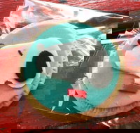 Curl the Whisker Cafe - Phillip Island Accommodation