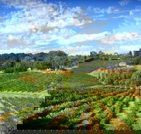 Kellybrook Winery and Kelly Brothers Cider