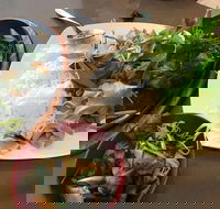 Thien An - Phillip Island Accommodation