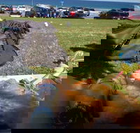 Fish House - Phillip Island Accommodation