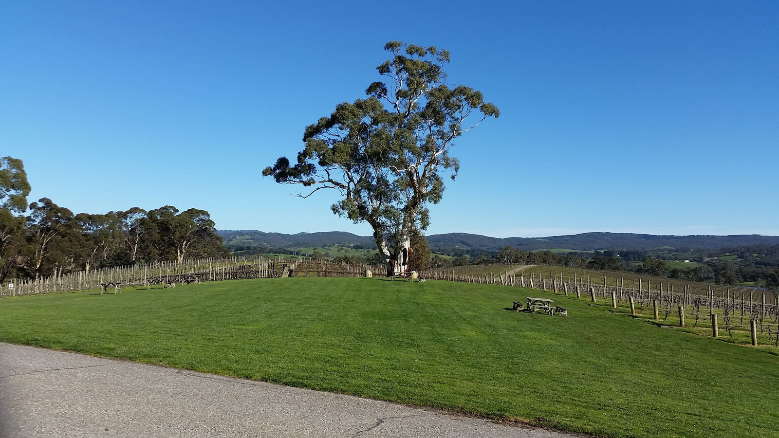  Phillip Island Accommodation