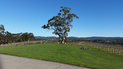Nepenthe Wines - Phillip Island Accommodation 0