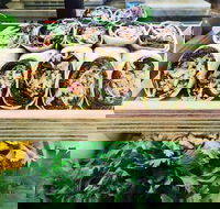 Salud Expresso Bar - Phillip Island Accommodation