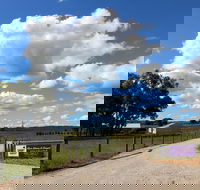 Short Sheep Micro-Winery - Phillip Island Accommodation