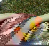 Yuri Sushi - Phillip Island Accommodation