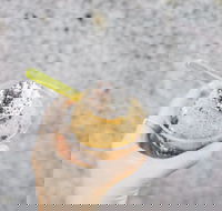  - Phillip Island Accommodation