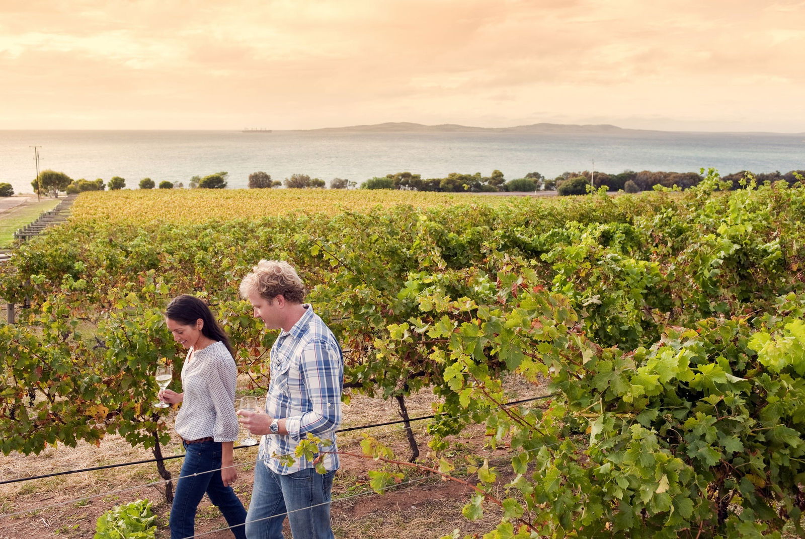  Phillip Island Accommodation