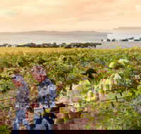 Boston Bay Wines - Phillip Island Accommodation