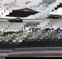 D Cafe - Phillip Island Accommodation