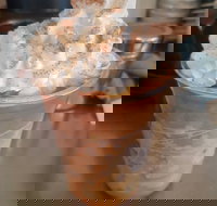 Fresh To Go - Phillip Island Accommodation