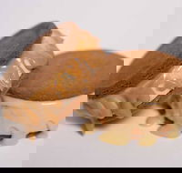 Gelato Messina - South Brisbane - Phillip Island Accommodation