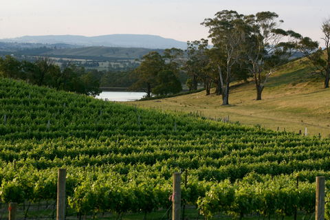 Granite Hills Winery - Phillip Island Accommodation 0