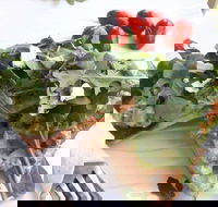 The Garden Tearooms  Cottage Nursery - Phillip Island Accommodation