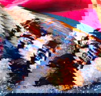 Donut King - Sunshine - Phillip Island Accommodation