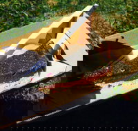 Byron Juice Bar - Phillip Island Accommodation