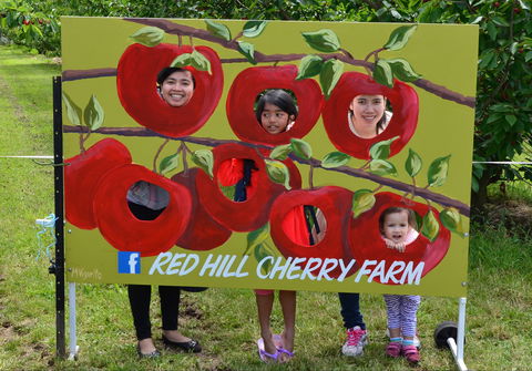 Red Hill Cherry Farm - Phillip Island Accommodation 1