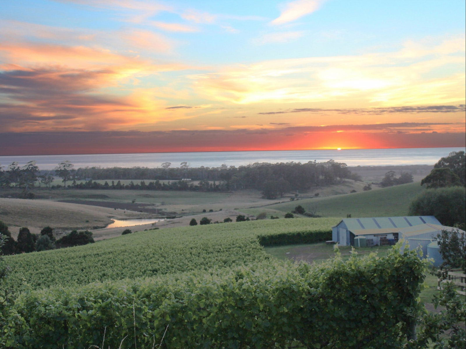  Phillip Island Accommodation