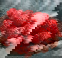 Christmas Hills Raspberry Farm Cafe - Phillip Island Accommodation