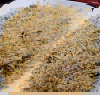 Man-O-Salwa - Clayton - Phillip Island Accommodation