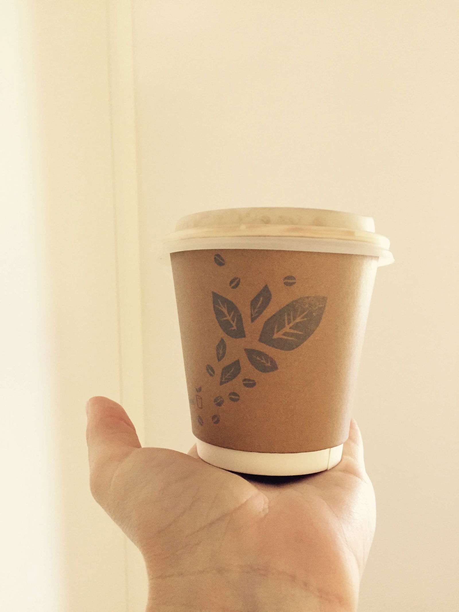  Phillip Island Accommodation